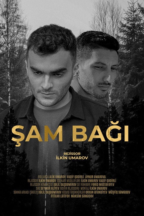 Дивитися фільм Şam Bağı 2024 онлайн