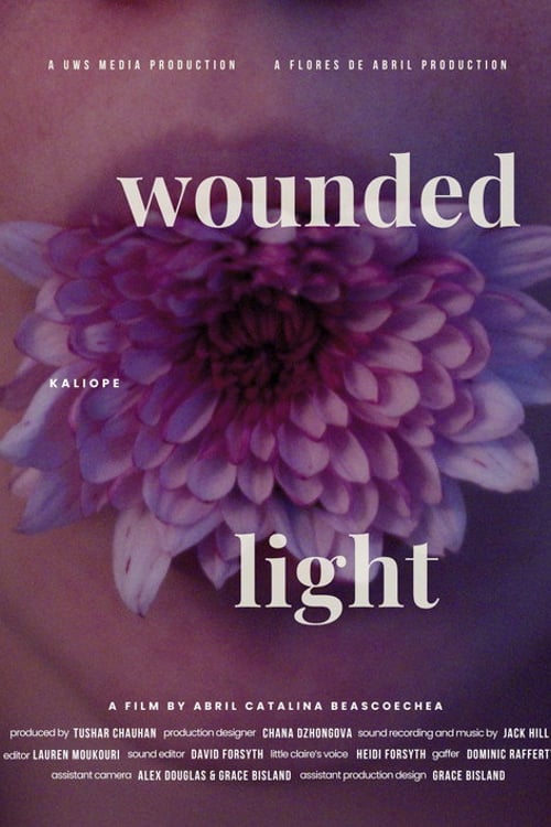 Дивитися фільм Wounded Light 2026 онлайн