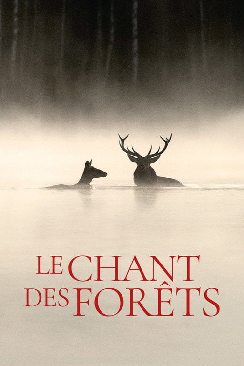 Дивитися фільм Le Chant des forêts 2025 онлайн