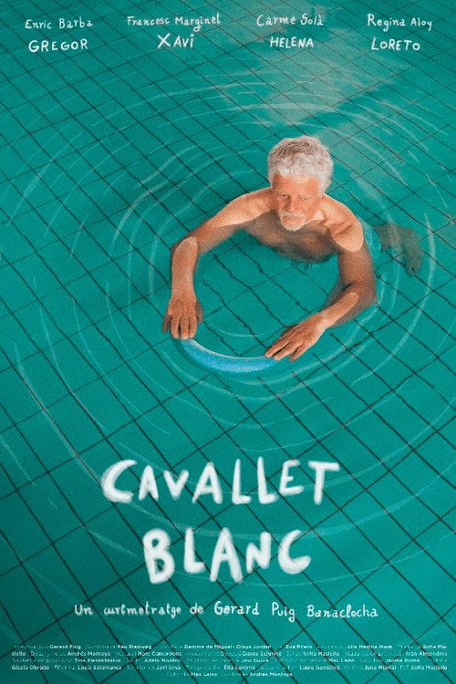 Дивитися фільм Cavallet Blanc 2024 онлайн