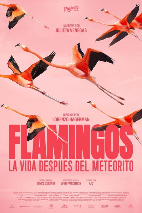 Дивитися фільм Flamingos: La vida después del meteorito 2026 онлайн