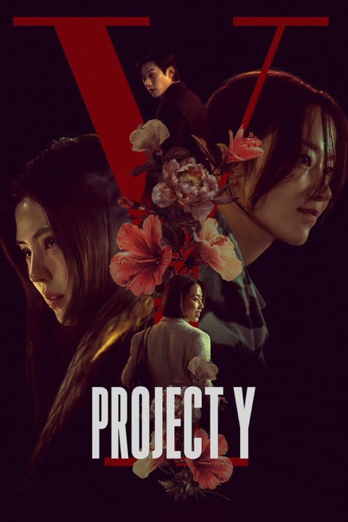 Watch 프로젝트 Y 2026 online