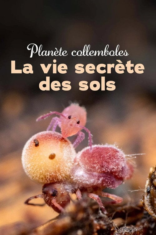 Watch Planète collemboles : la vie secrète des sols 2024 online