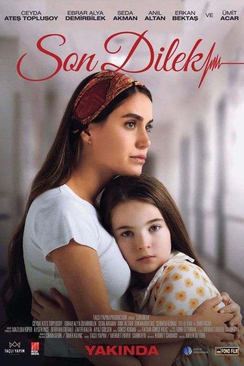 Watch Son Dilek 2025 online