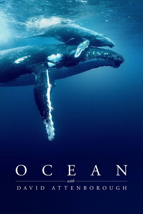 Watch Ocean with David Attenborough 2025 online