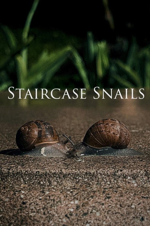 Watch Staircase Snails 2025 online