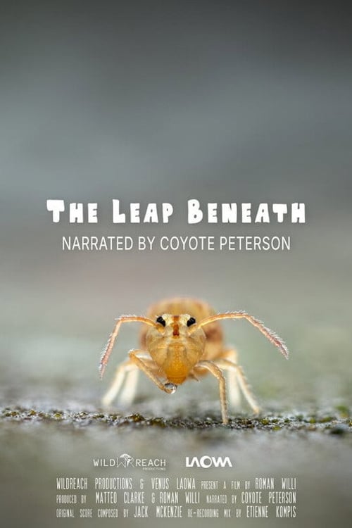 Дивитися фільм The Leap Beneath 2026 онлайн
