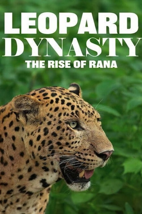 Дивитися фільм Leopard Dynasty – The Rise of Rana 2025 онлайн