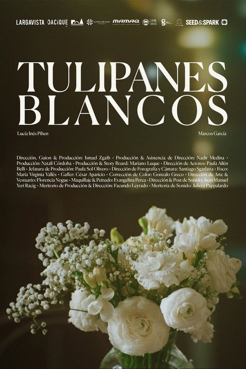 Дивитися фільм Tulipanes blancos 2025 онлайн