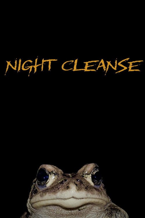 Watch Night Cleanse 2025 online