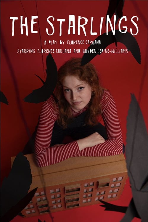 Дивитися фільм The Starlings 2024 онлайн