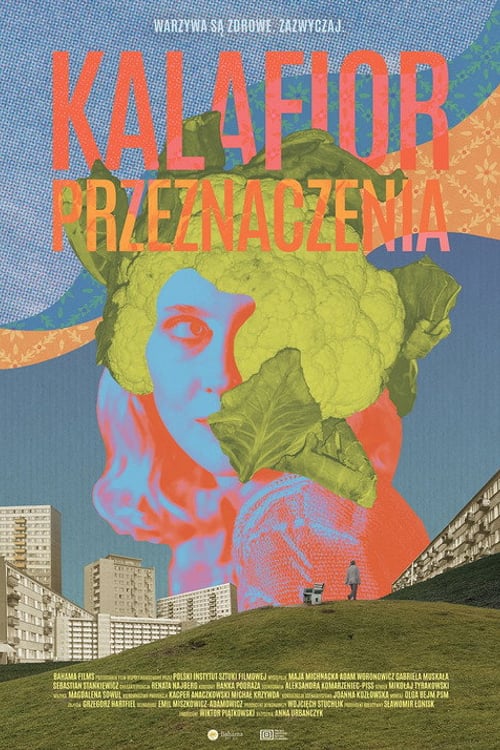 Дивитися фільм Kalafior przeznaczenia 2026 онлайн