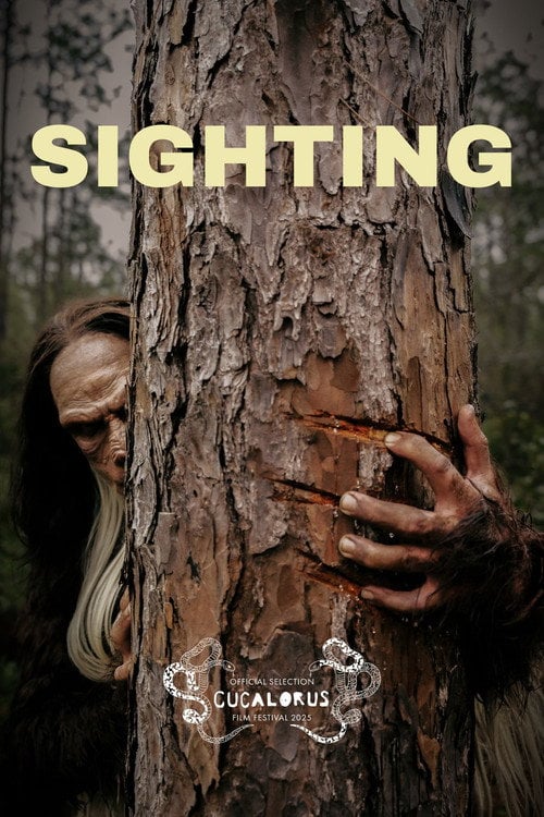 Дивитися фільм Sighting 2025 онлайн