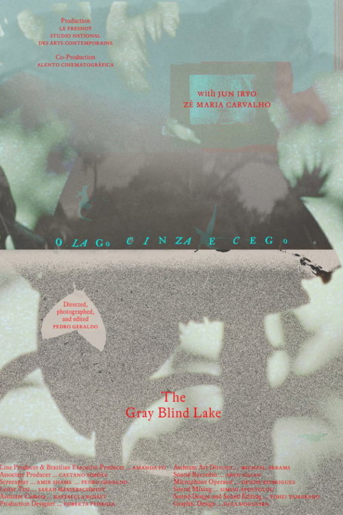 Watch O lago cinza e cego 2026 online