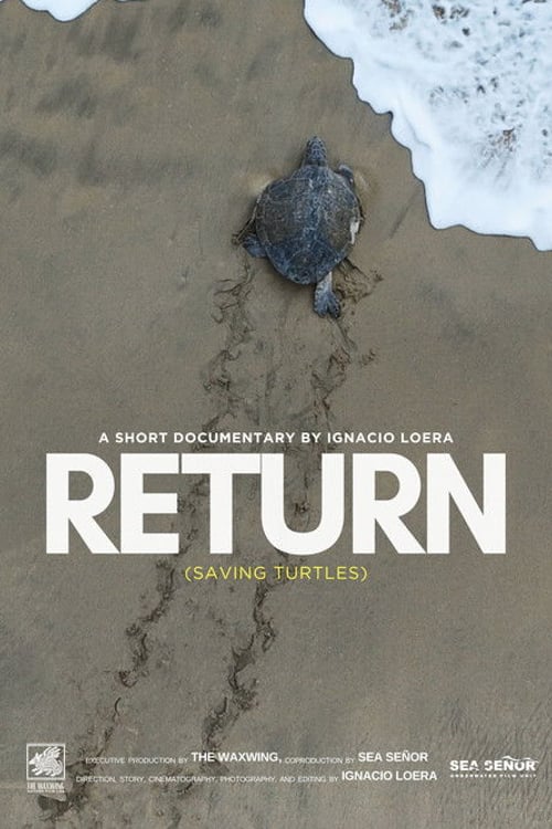 Watch Return: Salvando a las Tortugas 2026 online