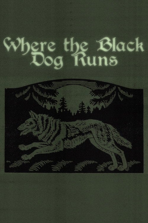 Watch Where the Black Dog Runs 2026 online