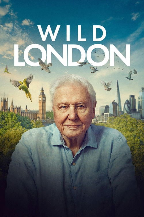 Дивитися фільм Wild London 2026 онлайн