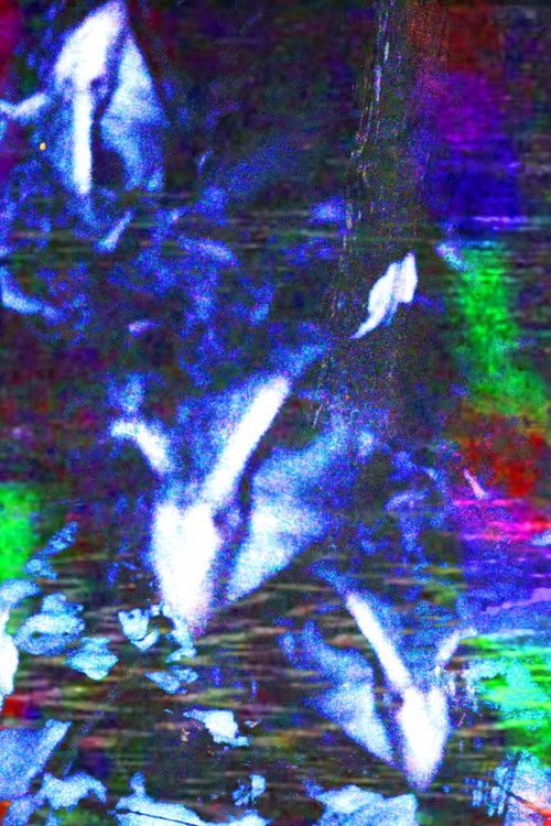 Дивитися фільм crow.mp4 2026 онлайн