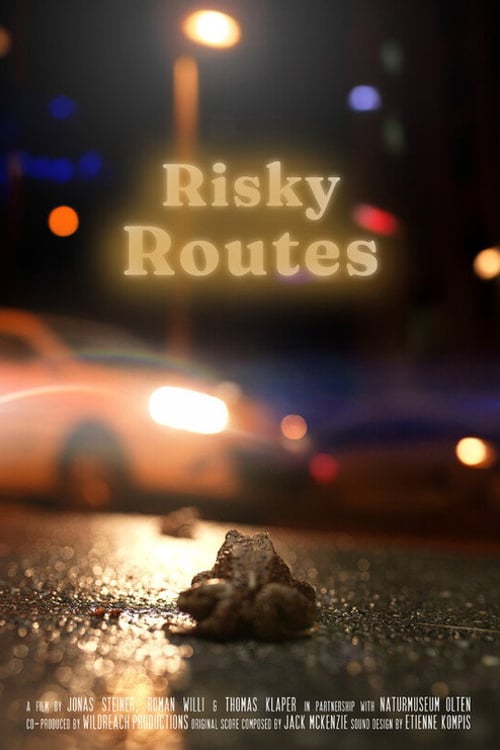 Watch Risky Routes 2026 online