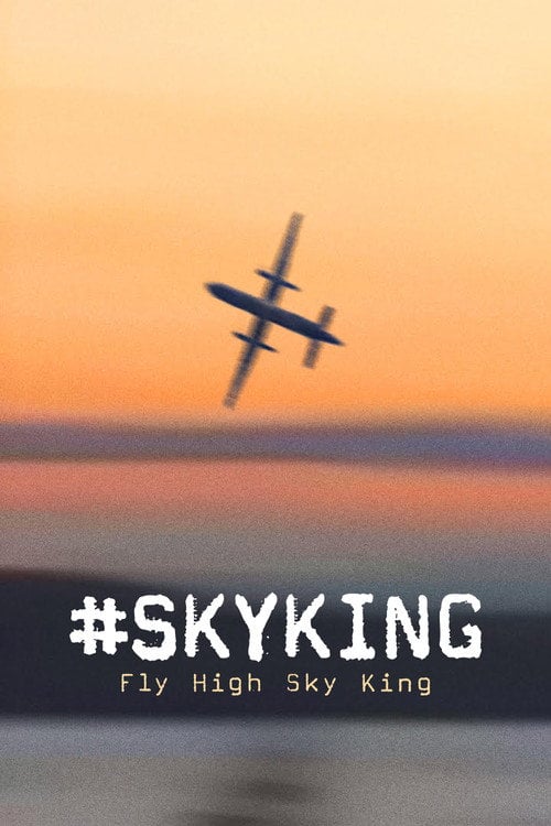 Дивитися фільм #SKYKING 2026 онлайн