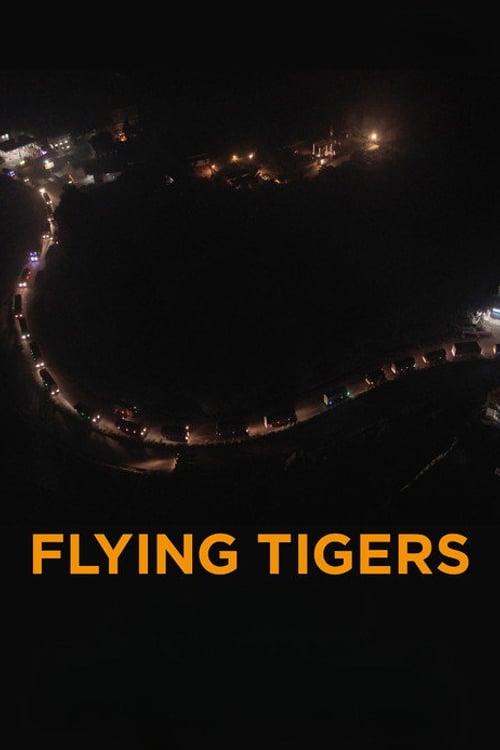 Дивитися фільм Flying Tigers 2026 онлайн