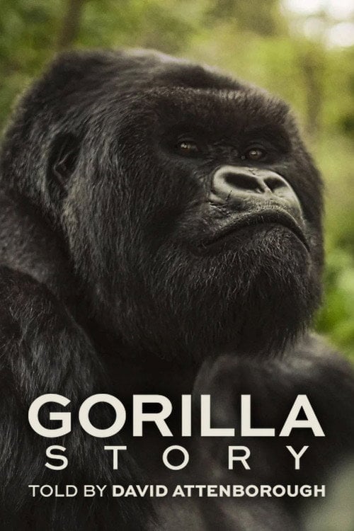 Watch A Gorilla Story: Told by David Attenborough 2026 online