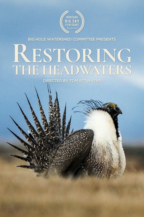 Watch Restoring the Headwaters 2026 online