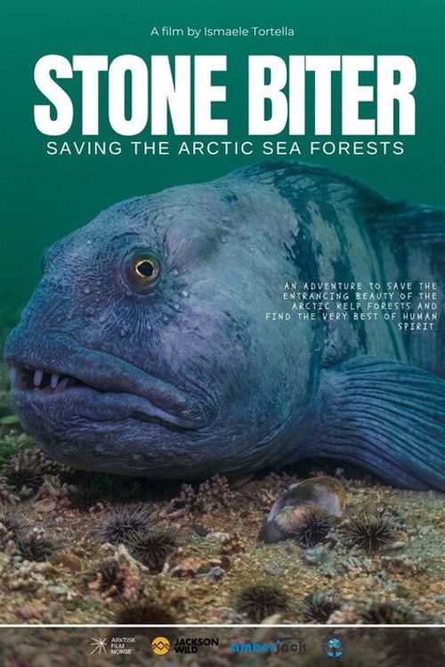 Дивитися фільм Stone Biter: Saving the Arctic Sea Forests 2026 онлайн