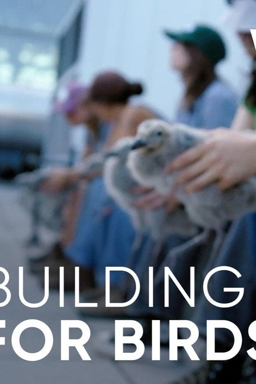 Дивитися фільм Wild Hope: Building for Birds 2026 онлайн