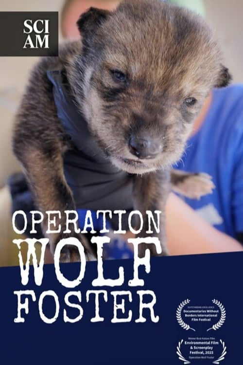 Watch Operation Wolf Foster 2026 online