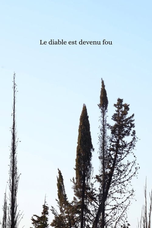 Watch Le diable est devenu fou 2026 online