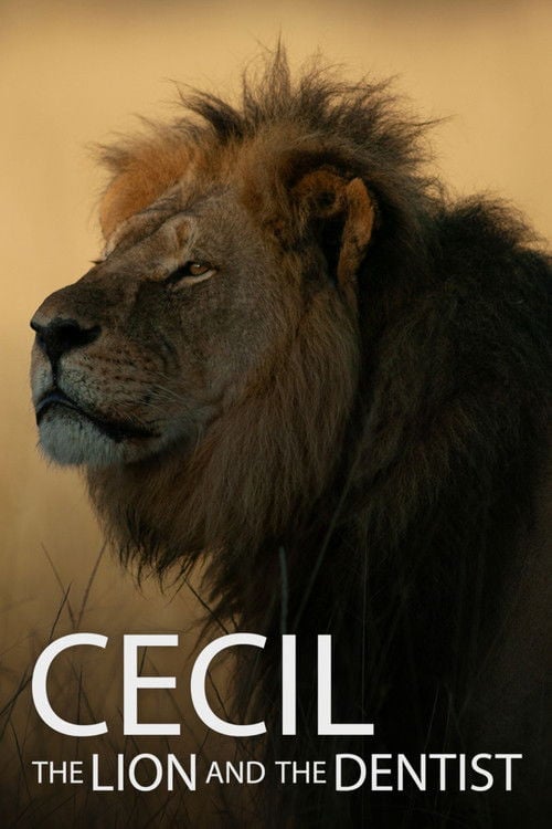 Дивитися фільм Cecil 2026 онлайн