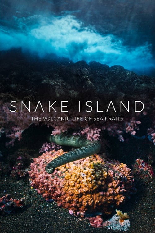 Дивитися фільм Snake Island: The Volcanic Life of Sea Kraits 2026 онлайн