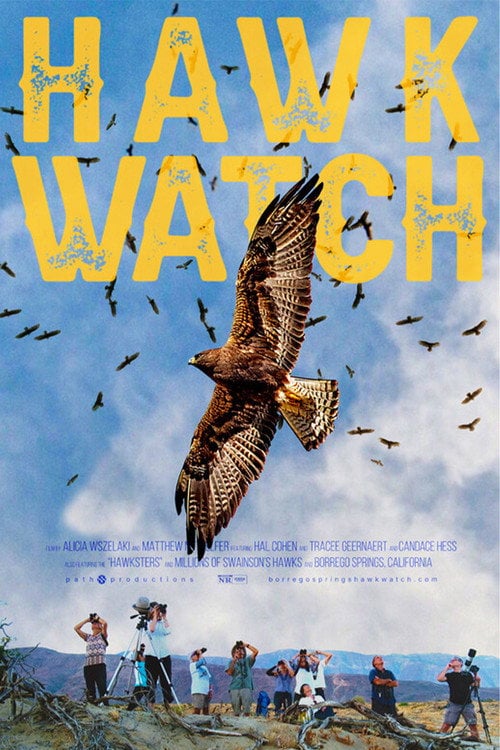 Watch Hawk Watch 2026 online
