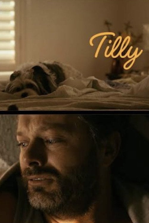 Дивитися фільм Tilly 2026 онлайн