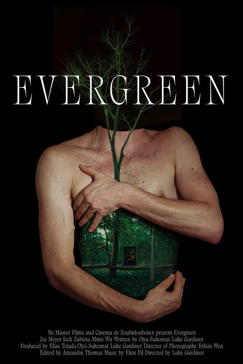 Дивитися фільм Evergreen 2026 онлайн