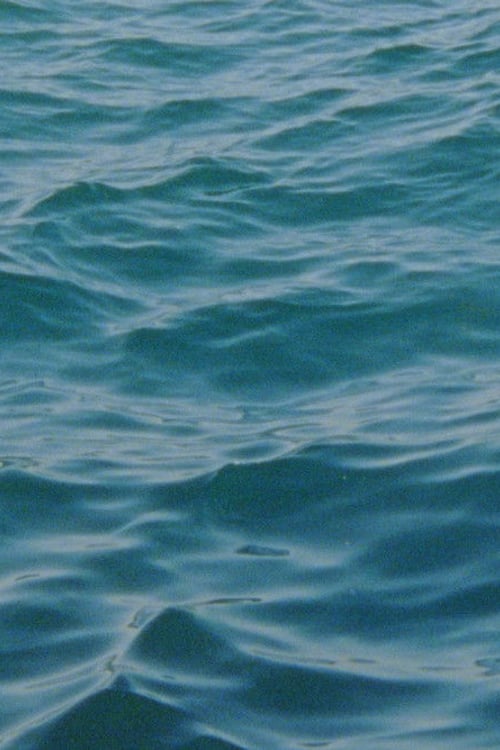 Дивитися фільм Water Diary 2026 онлайн