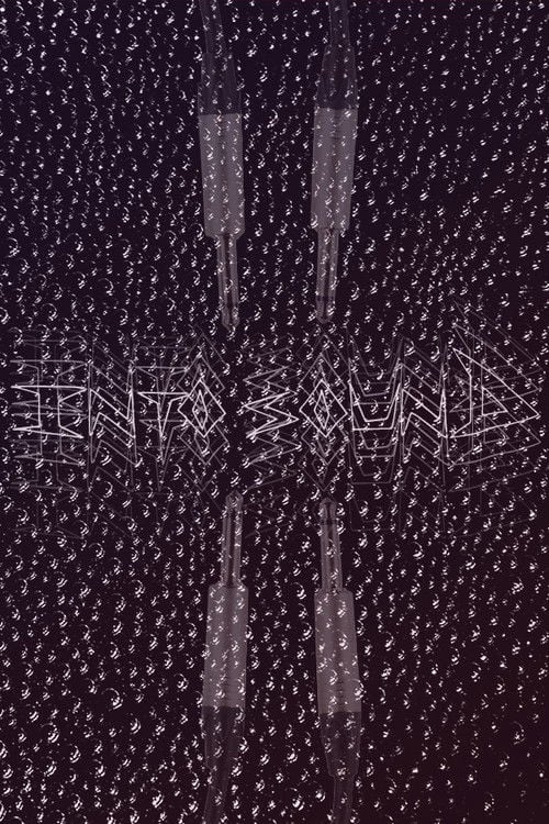 Watch Into Sound 2026 online
