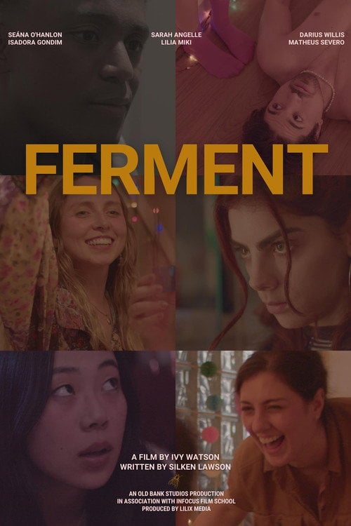 Watch Ferment 2024 online