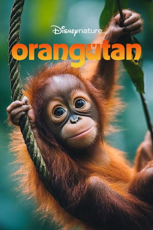 Дивитися фільм Orangutan 2026 онлайн