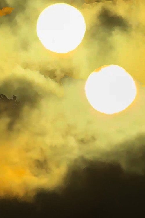 Watch While The Sun's Eye Rules My Sight 2026 online