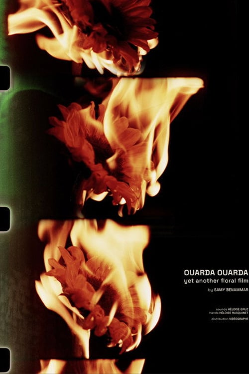 Watch Ouarda Ouarda: yet another floral film 2026 online