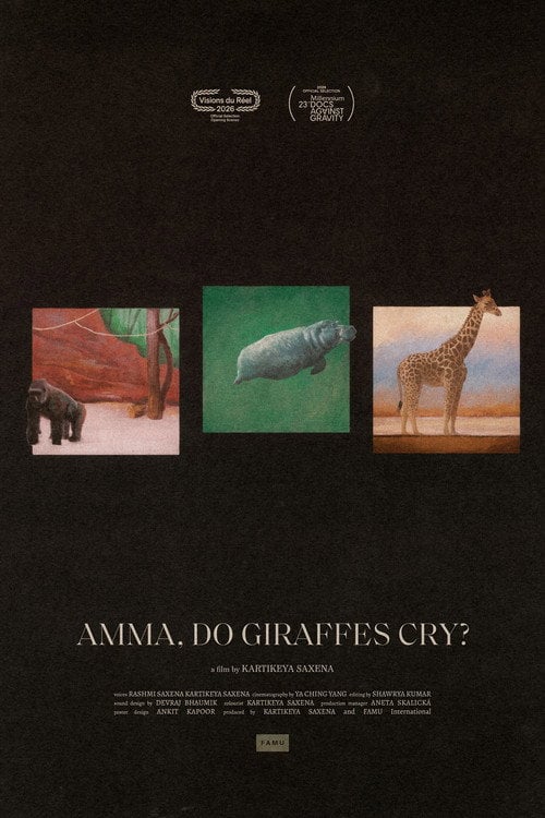Watch Amma, Do Giraffes Cry? 2026 online