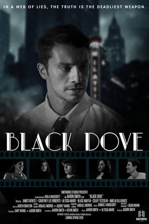 Watch Black Dove 2026 online