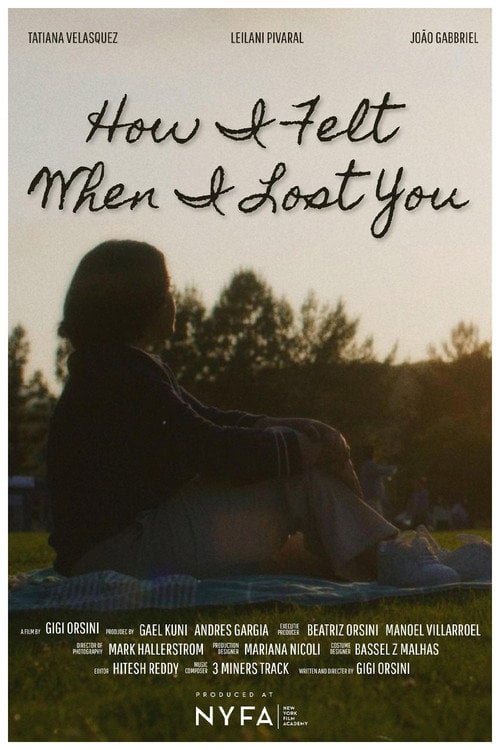 Watch How I Felt When I Lost You 2026 online