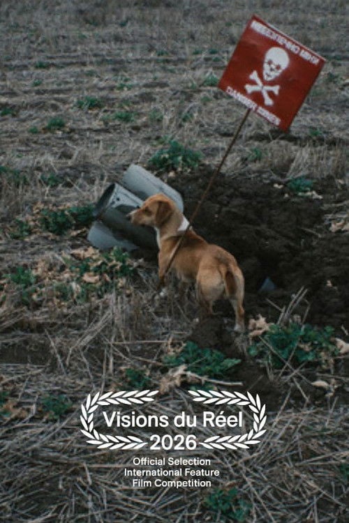 Watch Death in the Making 2026 online