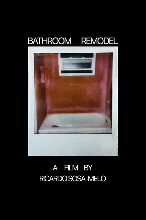 Watch Bathroom Remodel 2026 online