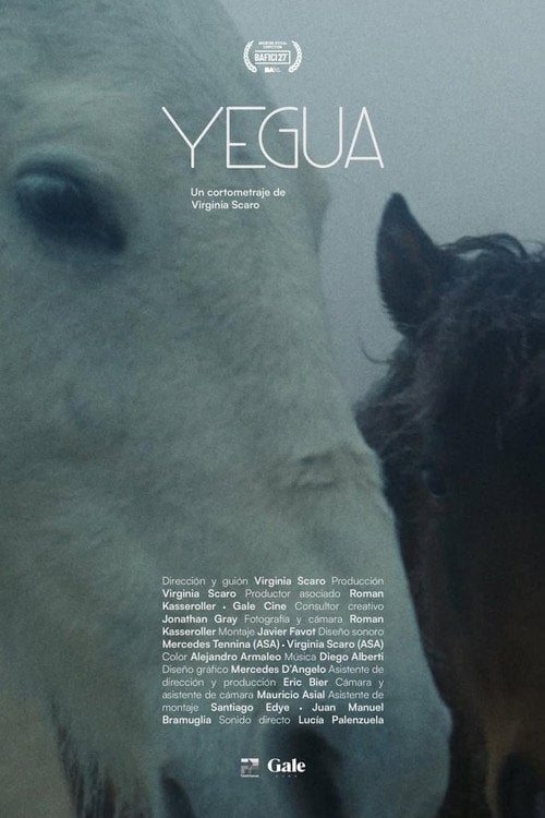 Watch Yegua 2026 online