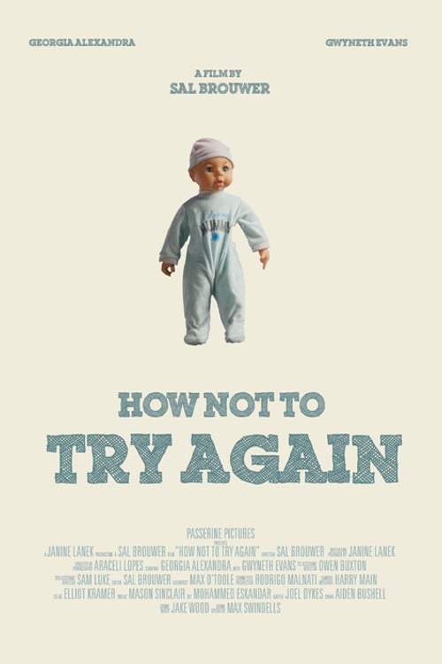 Watch How Not To Try Again 2026 online