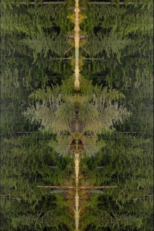 Дивитися фільм Mirrorpond 2026 онлайн